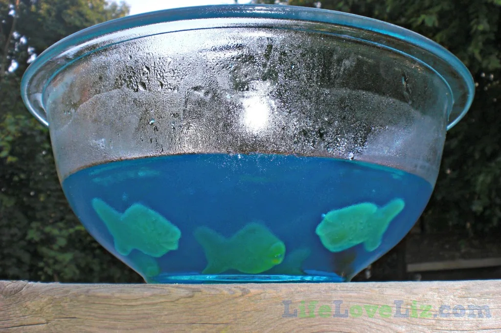 Jell-O Fish Bowl