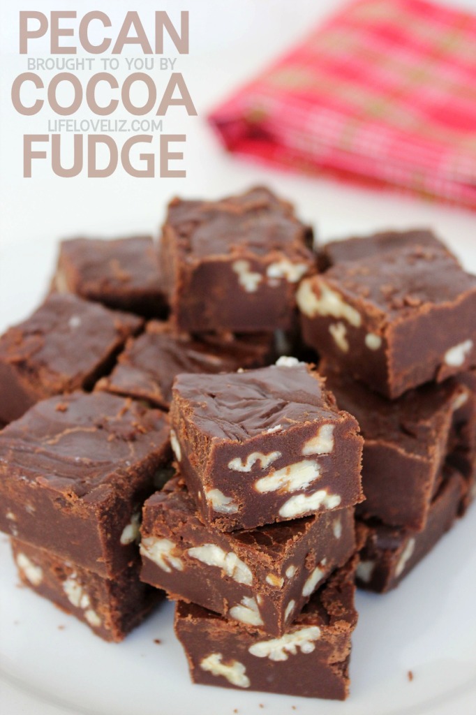 Pecan Cocoa Fudge is an easy diy delicious chocolate dessert recipe everyone will love!
