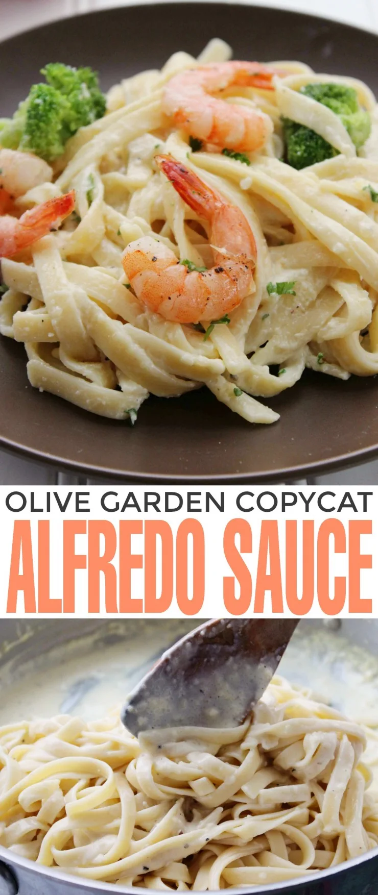 This is the BEST Olive Garden Alfredo Sauce Copycat Recipe! If you love Italian Food, you will love this dish (and sauce recipe!)