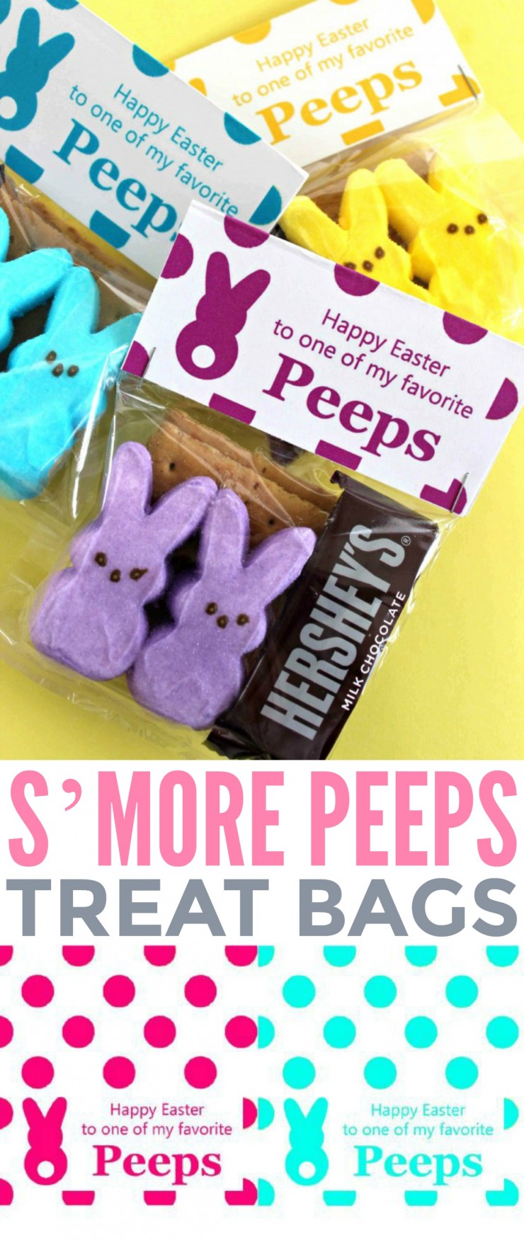 These sweet little S'More Peeps treat bags are easy to make and come together to make an awesome Easter treat - Peeps S'More's!