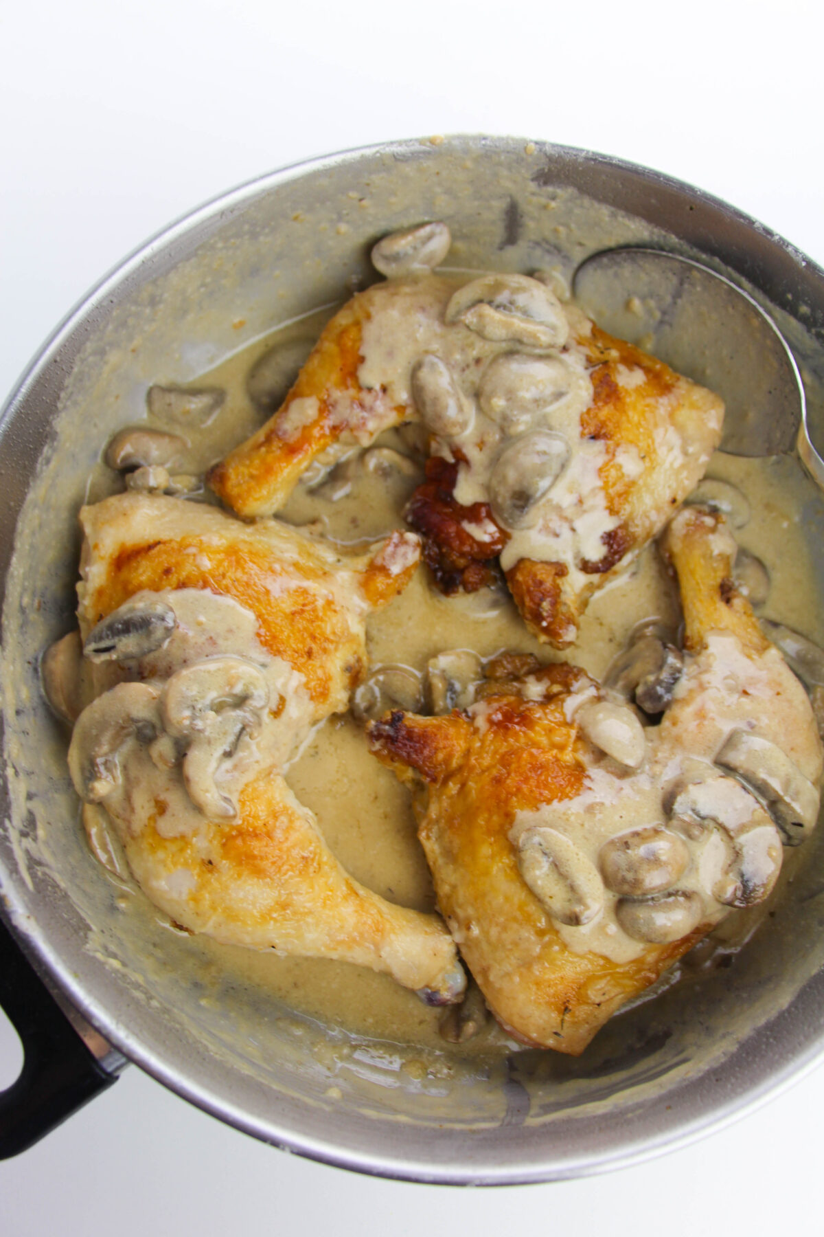 Pan fried chicken and creamy mushroom sauce.