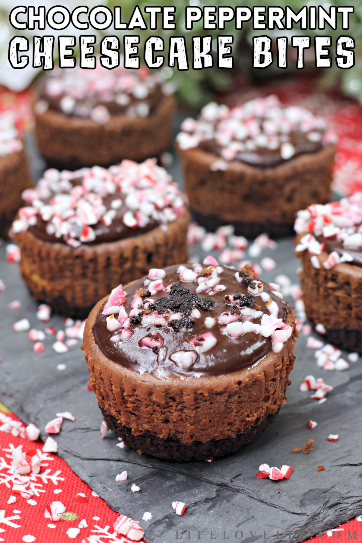 These chocolate peppermint cheesecake bites are perfect for holiday parties. They're rich and creamy, with a crunch of peppermint candy.