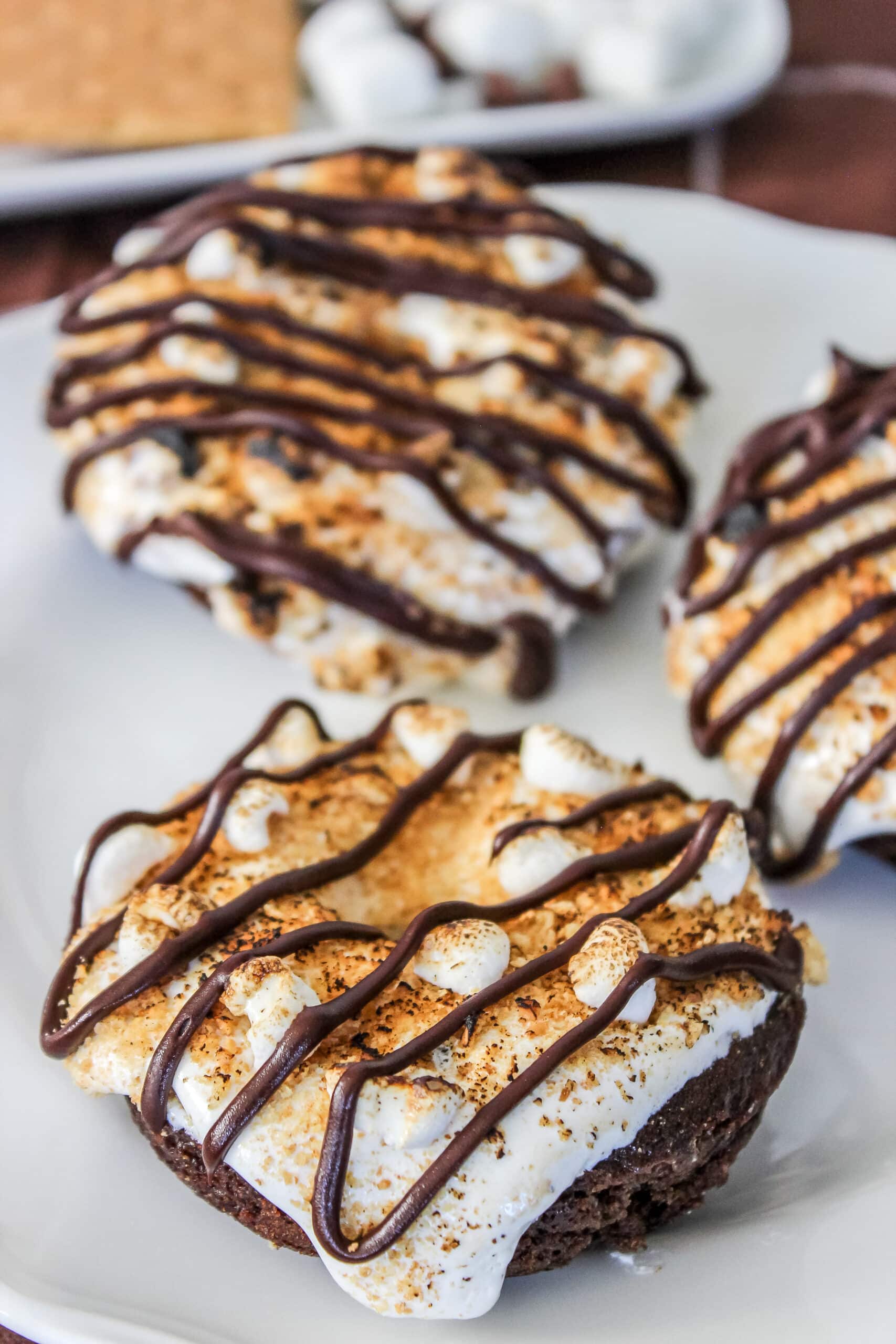S’Mores Chocolate Donuts